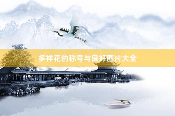 多样花的称号与良好图片大全