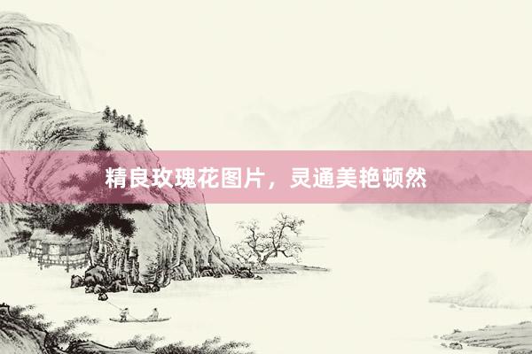 精良玫瑰花图片，灵通美艳顿然